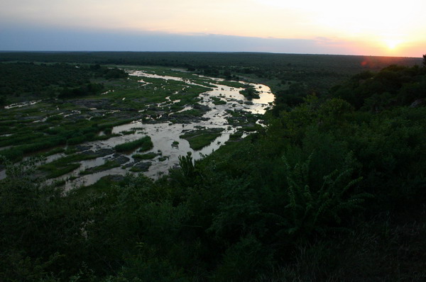 SAF114_kruger_olifants