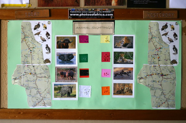 SAF147_kruger_satara