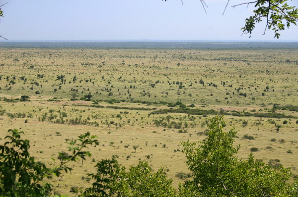 SAF196_kruger