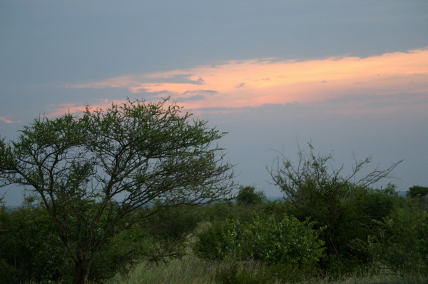 SAF220_kruger