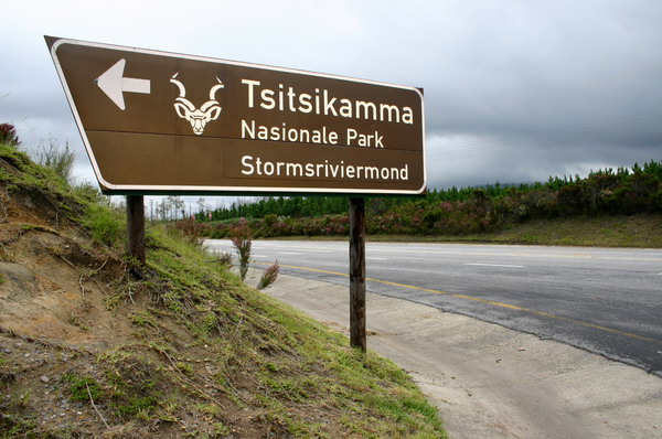 SAF445_tsitsikama