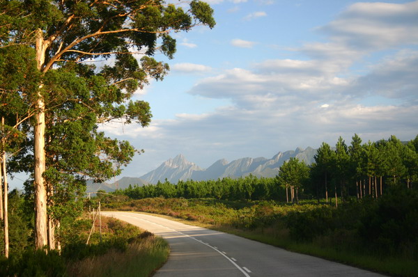 SAF472_tsitsikama