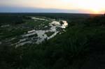SAF114_kruger_olifants