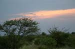 SAF220_kruger