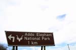 SAF376_addo