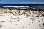 SAF634_cap_bonne_esperance