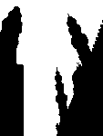 le caire minarets