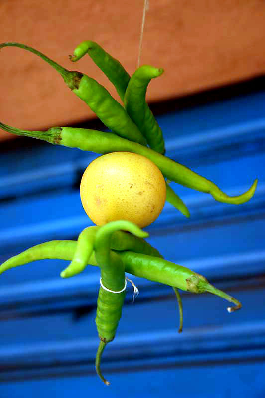 IND6731_goa_panjim_panaji