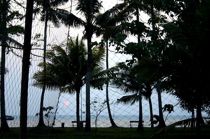 IND6888_kerala_backwaters