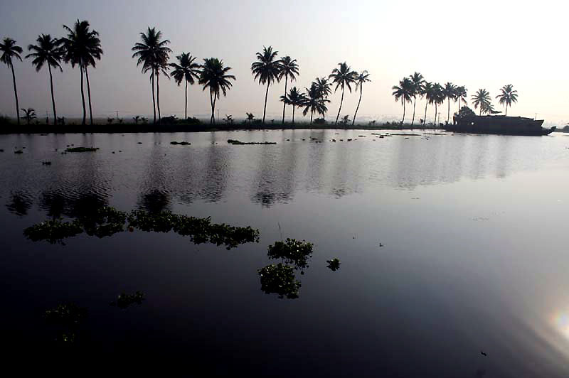 IND6977_kerala_backwaters