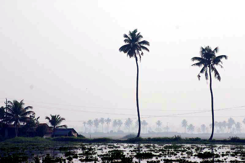 IND6987_kerala_backwaters