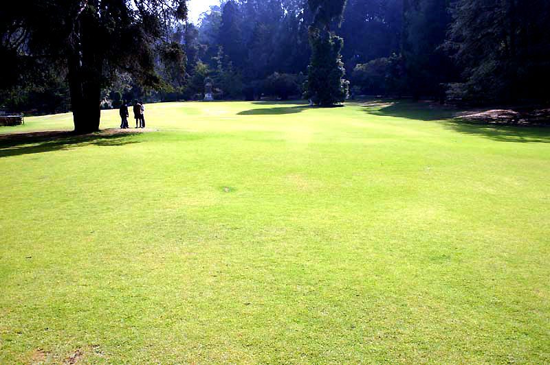 IND7202_ooty