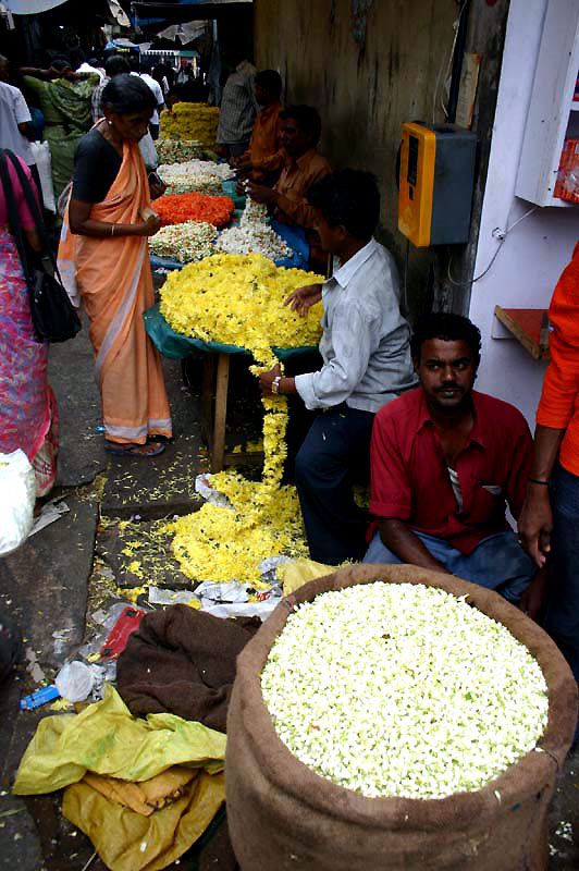 IND7466_mysore
