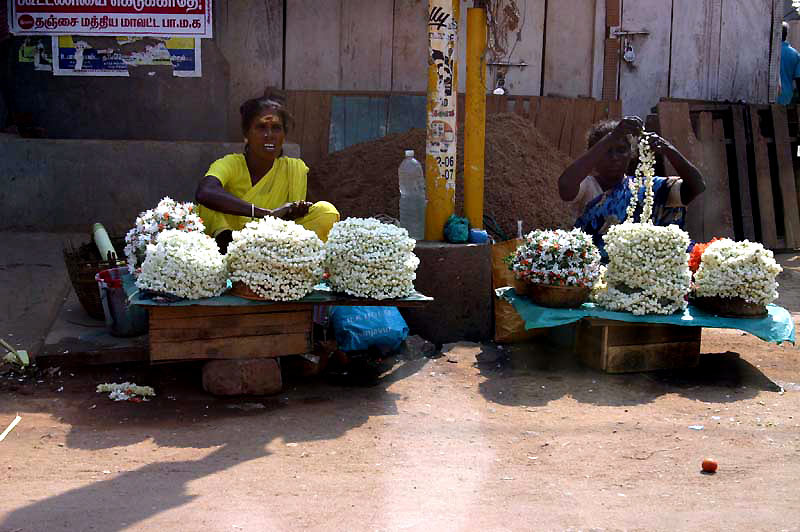 IND7543_tanjore_thanjavur