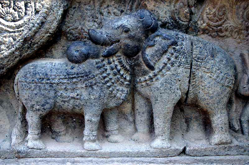 IND7613_tanjore_thanjavur