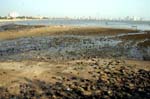 IND6611_bombay_mumbai