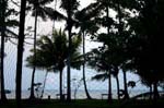 IND6888_kerala_backwaters