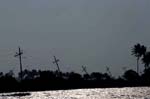IND6967_kerala_backwaters