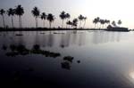 IND6977_kerala_backwaters
