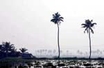 IND6987_kerala_backwaters