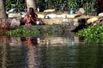 IND6992_kerala_backwaters