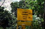 IND7125_ooty