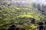 IND7129_ooty