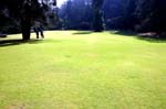 IND7202_ooty