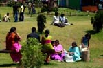 IND7230_ooty