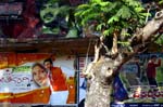 IND7439_mysore_cinema