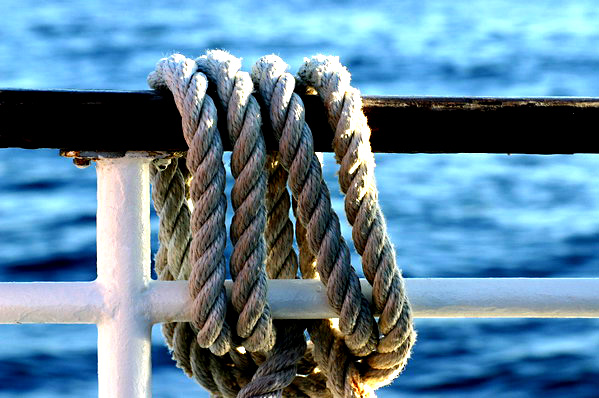 marseille_3160