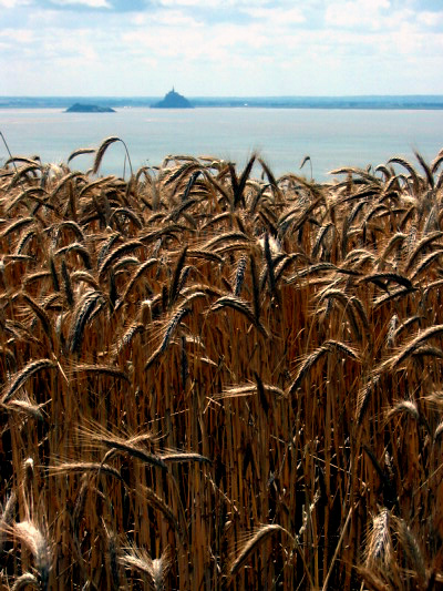 NOR2102_mont_st_michel