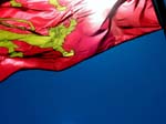 NOR2104_normandie_drapeau