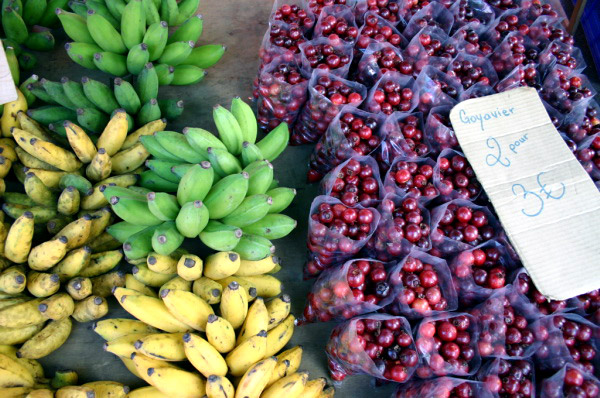 REU031_st_gilles_fruits